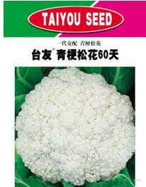 台友青梗松花60天