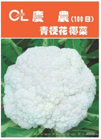 庆农青梗花椰菜100天