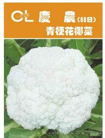 庆农青梗花椰菜68天