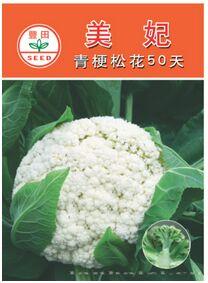 美妃50天