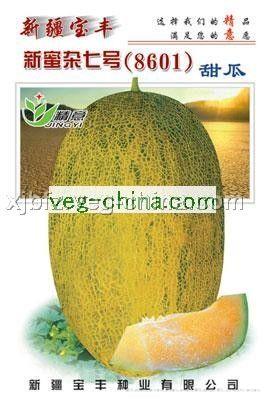 新蜜杂七号——哈密瓜种子