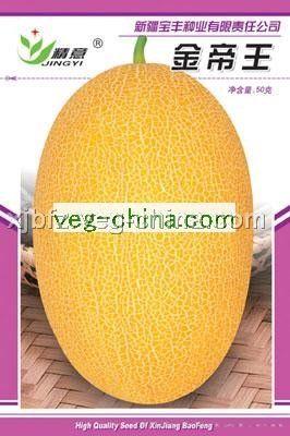 金帝王——哈密瓜种子
