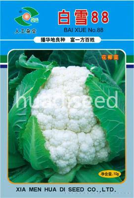 白雪88