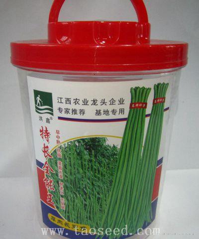 特长全能