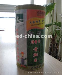 极品901青豇豆