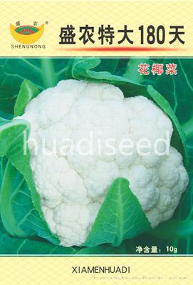 盛农特大180天