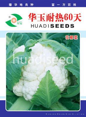 华玉耐热60天