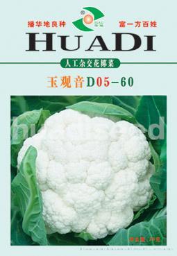 玉观音60天