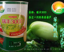 瑞丰3000