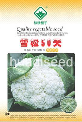 雪松50天