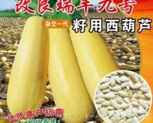 润丰九号