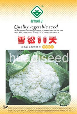 雪松90天