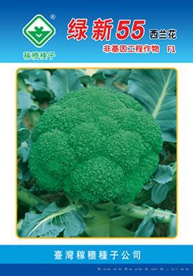 绿新55