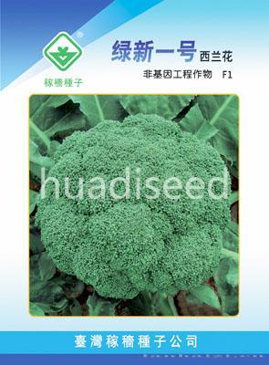 绿新一号西兰花