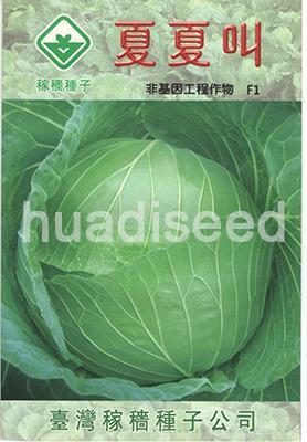 夏夏叫