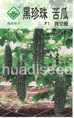 黑珍珠