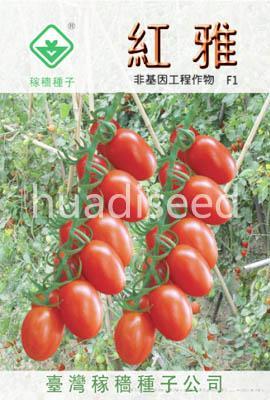 红雅