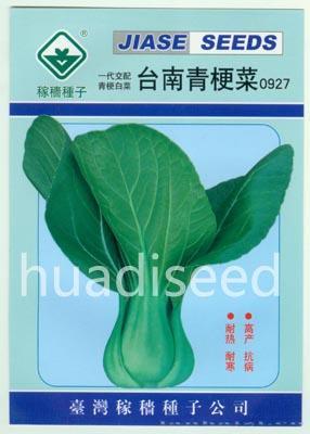 台南青梗菜927