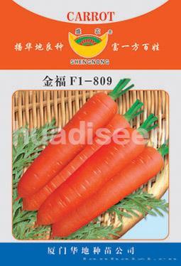金福F1-809
