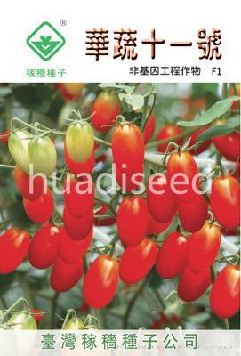 华蔬11号