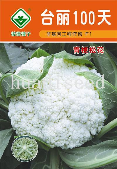台丽松花100天