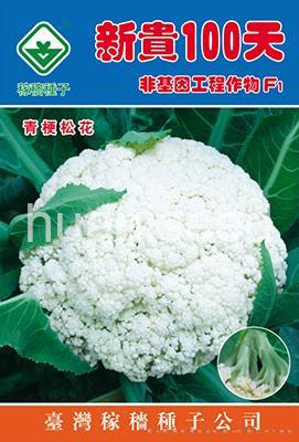 新贵松花100天