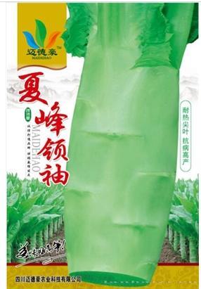 夏峰领袖