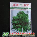 【杂交美洲菊苣种子】 肥猪草鹅草 耐盐碱 产量高 多年生 牧草
