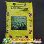 【邦德黑麦草种子】新一代四倍体 叶片宽大 鲜嫩多汁 糖分量高