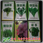 【药食蔬菜种子】板蓝根/蒲公英/黄秋葵/穿心莲/藿香/紫苏/益母草