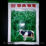 【标兵牧草】饲用高粱草和苏丹草的杂交种；高丹草10元/袋