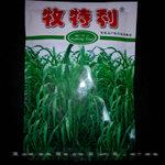 【牧特利草种子】王草 皇草 耐旱 不生虫 产量极高的优质牧草