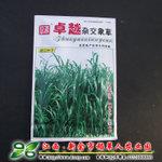 【卓越杂交象草种子】10元每袋;多年生高产优质牧草