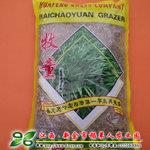 【牧童黑麦草种子】产量高峰早干物质含量高耐寒 抗病抗旱 早熟