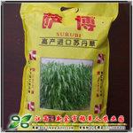 【萨博苏丹草种子】高端苏丹草品种 5斤每袋原种 鱼草 牧草种子