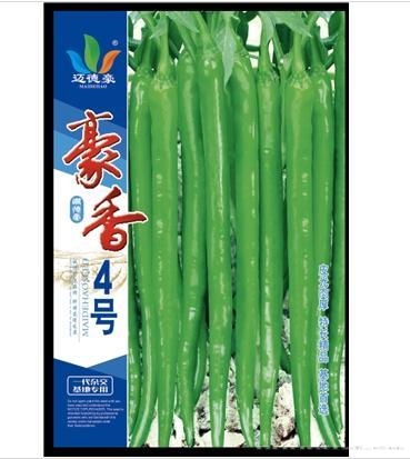 豪香4号