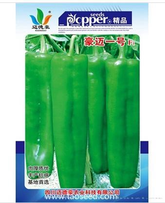 豪迈一号