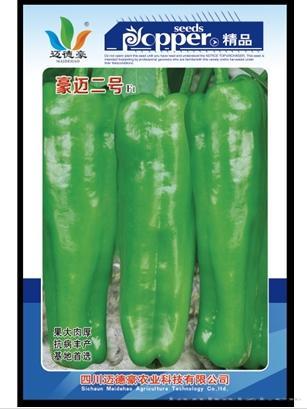 豪迈二号