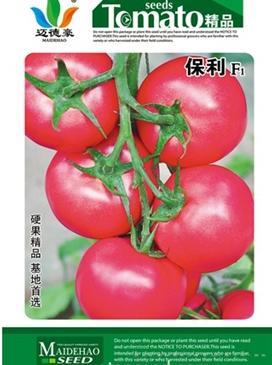 保利
