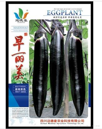 早丽美
