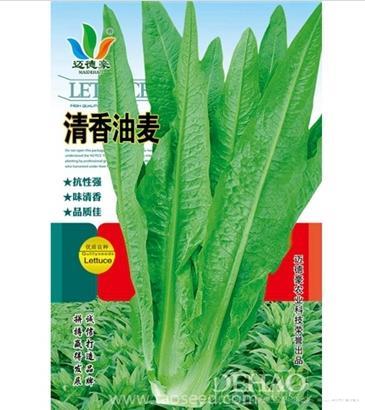 清香油麦