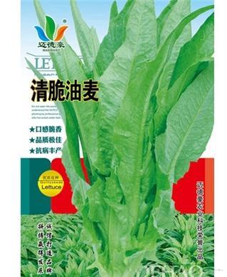 清脆油麦