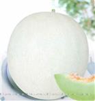 银玉5号甜瓜——甜瓜