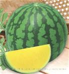 金雷西瓜——西瓜