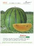 蜜甜彩虹西瓜——西瓜