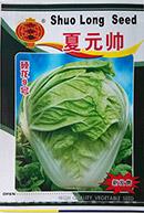 夏元帅