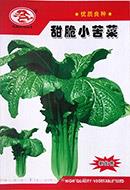 甜脆小苦菜