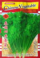 泰国四季香菜