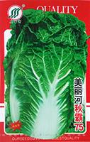 美丽河秋霸75