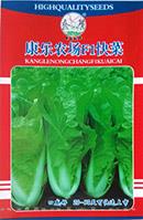 康乐农场F1快菜